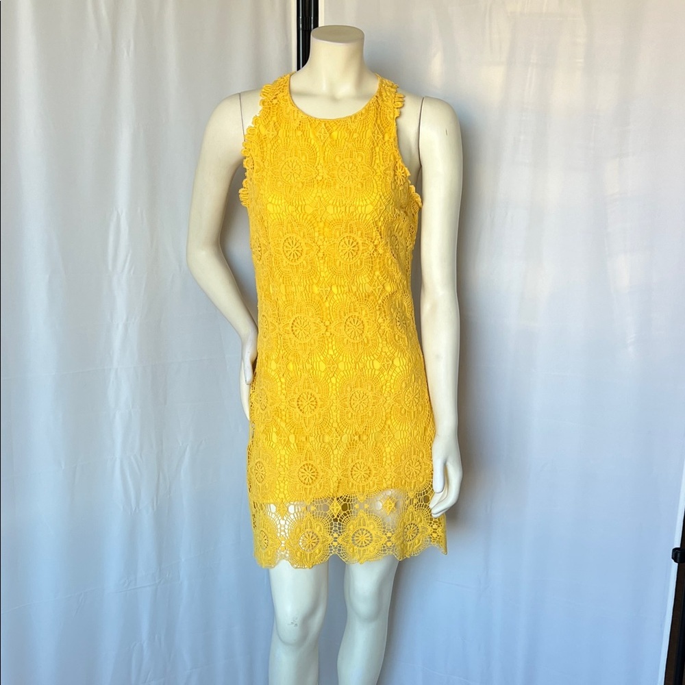 Ali Ro Sunlit Lace Mini Dress